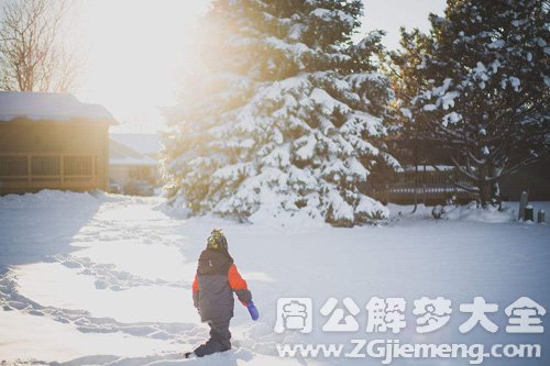 梦见雪地里走