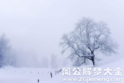 梦见雪景很美