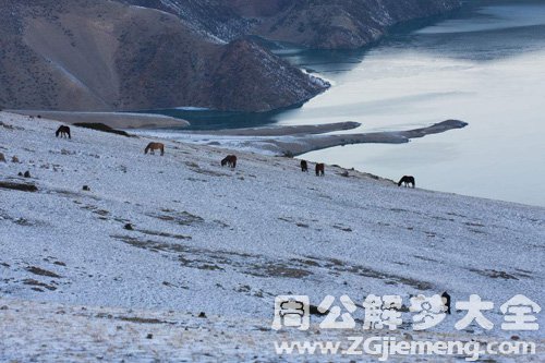 梦见雪地和湖泊