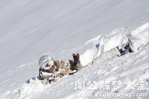 梦见雪地里有蛇