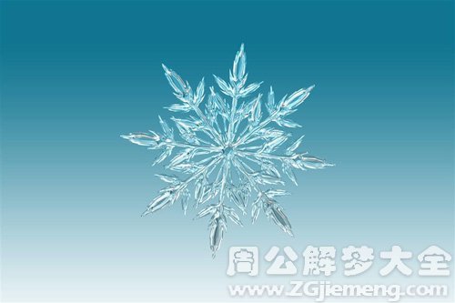 梦见雪花很大