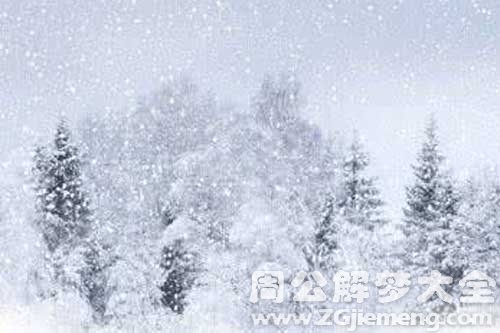 梦见下雪子