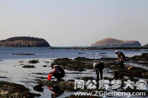 大海退潮