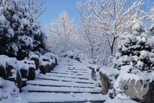 梦见下鹅毛大雪