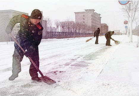 梦见铲地雪