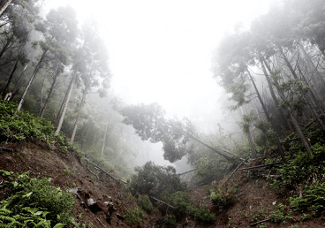 梦见山体垮塌