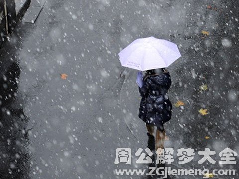 梦见下雪雨.jpg