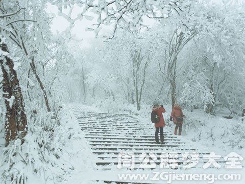 下雪落身上.jpg