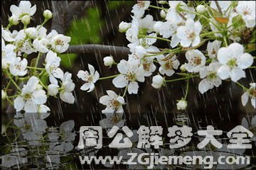 梦见下雨好不好.gif