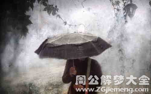 梦见撑着伞在雨中步行.jpg