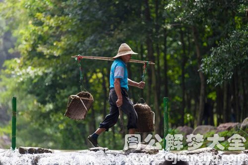 梦见扁担