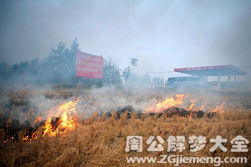 稻草燃烧