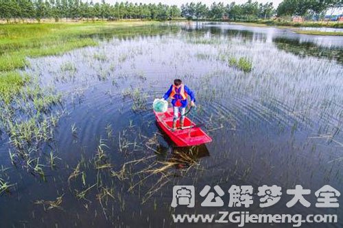 田地发大水