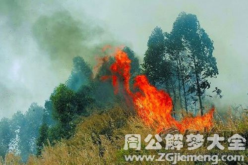 大火燃烧浓烟滚滚