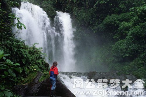 梦见旅游看瀑布