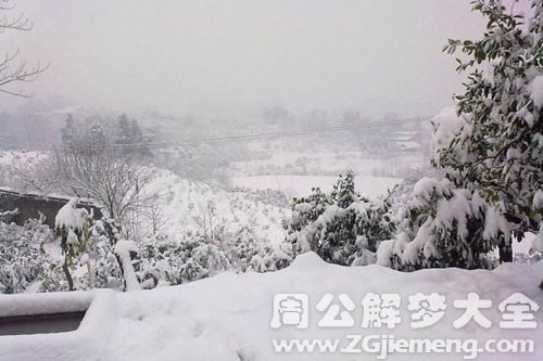 梦见过年回家下大雪