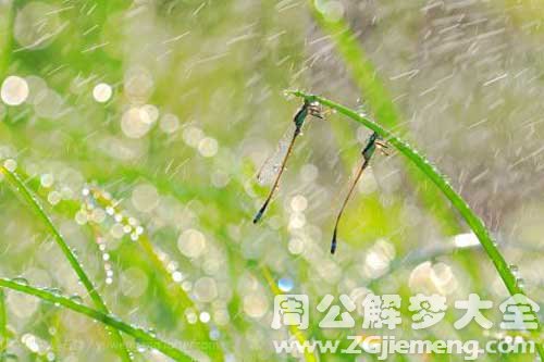 梦见呼风唤雨