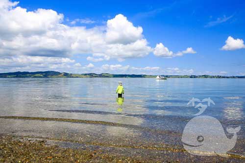 梦见走在水里