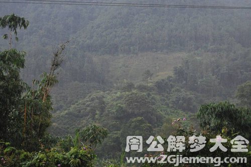 山上下雨